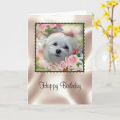 Sneeuwklokje de Maltese Kaart van de Verjaardag (Gele Bloem)