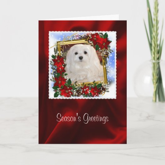 Sneeuwklokje de Maltese kerst Kaart (Voorkant)