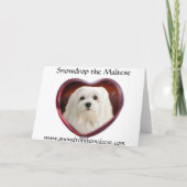 Sneeuwklokje de Maltese kerst Kaart (Achterkant)