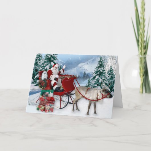 Sneeuwklokje de Maltese kerst Kaart (Voorkant)