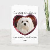 Sneeuwklokje de Maltese kerst Kaart (Achterkant)