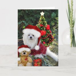 Sneeuwklokje de Maltese kerst Kaart