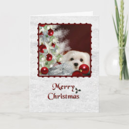 Sneeuwklokje de Maltese kerst Kaart