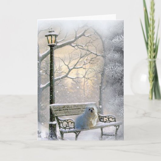 Sneeuwklokje de Maltese kerst Kaart (Voorkant)
