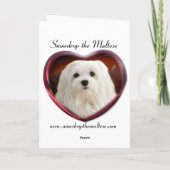 Sneeuwklokje de Maltese kerst Kaart (Achterkant)
