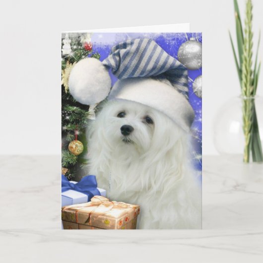 Sneeuwklokje de Maltese kerst Kaart (Voorkant)