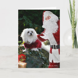 Sneeuwklokje de Maltese kerst Kaart