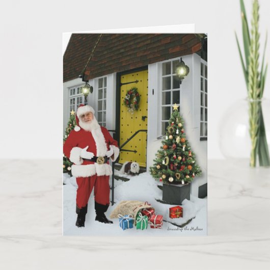 Sneeuwklokje de Maltese kerst Kaart (Voorkant)