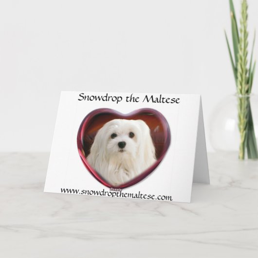 Sneeuwklokje de Maltese kerst Kaart (Achterkant)