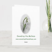 Sneeuwklokje de Maltese kerst Kaart (Achterkant)