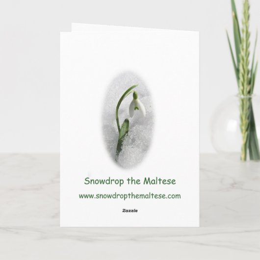 Sneeuwklokje de Maltese kerst Kaart (Achterkant)