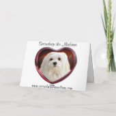 Sneeuwklokje de Maltese kerst Kaart (Achterkant)