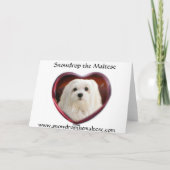 Sneeuwklokje de Maltese Kerstkaart Feestdagen Kaart (Achterkant)