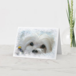 Sneeuwklokje de Maltese Kerstkaart Feestdagen Kaart