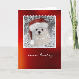 Sneeuwklokje de Maltese Kerstkaart Feestdagen Kaart