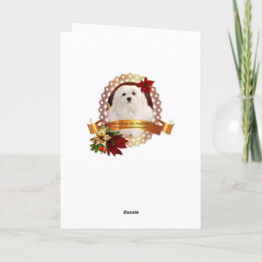 Sneeuwklokje de Maltese Kerstkaart Feestdagen Kaart (Achterkant)