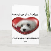 Sneeuwklokje de Maltese Kerstkaart Feestdagen Kaart (Achterkant)