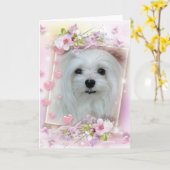 Sneeuwklokje de Maltese Verjaardag/het Wenskaart Kaart (Gele Bloem)