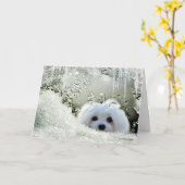 Sneeuwklokje het Maltese "Denken aan u" Kaart (Gele Bloem)