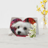 Sneeuwklokje het Maltese Lege Wenskaart Kaart (Gele Bloem)