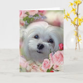 Sneeuwklokje het Maltese Wenskaart Kaart (Gele Bloem)