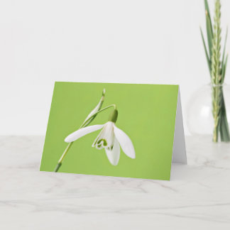 Sneeuwklokje Kaart