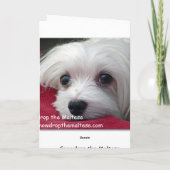 Sneeuwklokje op het Maltese Wenskaart Feestdagen Kaart (Achterkant)