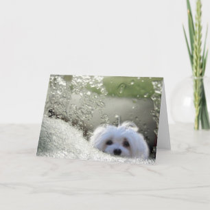 Sneeuwklokje op het Maltese Wenskaart Kaart
