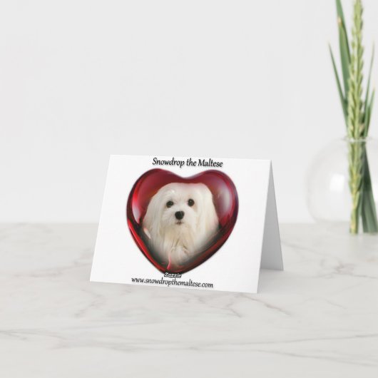 Sneeuwklokje van de Maltese Note Kaart (Achterkant)