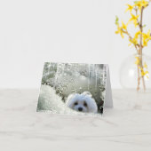 Sneeuwklokje van de Maltese Note Kaart (Gele Bloem)