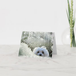 Sneeuwklokje van de Maltese Note Kaart