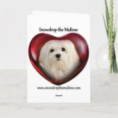 Sneeuwklokje voor de Maltese Birthday Kaart (Achterkant)