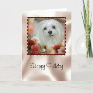 Sneeuwklokje voor de Maltese Birthday Kaart