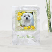 Sneeuwklokje voor de Maltese Birthday Kaart