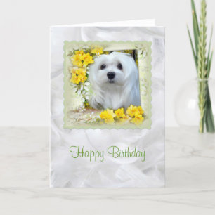 Sneeuwklokje voor de Maltese Birthday Kaart