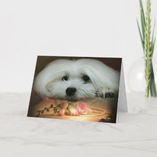 Sneeuwklokje voor de Maltese Birthday Kaart