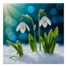 Sneeuwklokjes #1 Muurkunst