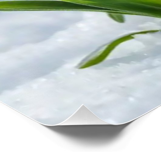 Sneeuwklokjes #1 Muurkunst Perfect Poster (Hoek)