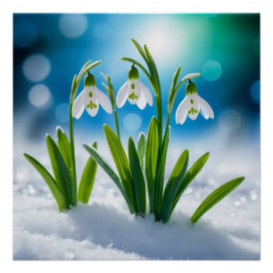 Sneeuwklokjes #3 Muurkunst Perfect Poster