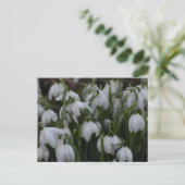 Sneeuwklokjes briefkaart (Staand voorkant)