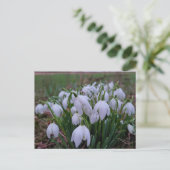 Sneeuwklokjes briefkaart (Staand voorkant)