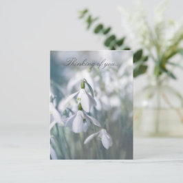 Sneeuwklokjes die aan je denken briefkaart