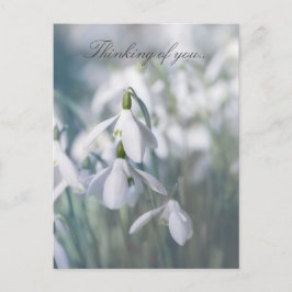 Sneeuwklokjes die aan je denken briefkaart