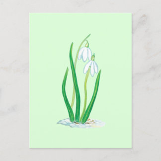 Sneeuwklokjes (Galanthus nivalis) Vroege Lente Blo Briefkaart
