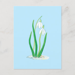Sneeuwklokjes (Galanthus nivalis) Vroege lente blo Briefkaart