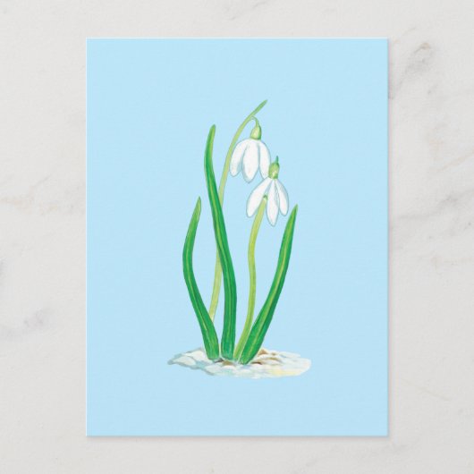Sneeuwklokjes (Galanthus nivalis) Vroege lente blo Briefkaart (Voorkant)