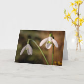 Sneeuwklokjes groeten kaart (Gele Bloem)