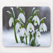 Sneeuwklokjes in de sneeuw muismat (Voorkant)