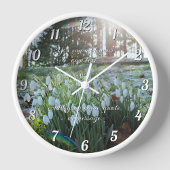 Sneeuwklokjes in Lichte Sneeuw & Zonneschijn - Ron