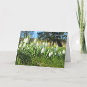 Sneeuwklokjes in Zonneschijn - Persoonlijke Verjaa Kaart (Achterkant)